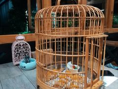 -花溪雨·森林餐厅(石基店)