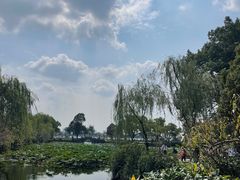 -无锡蠡湖国家湿地公园-蠡园