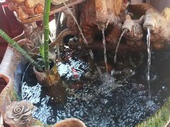 -老妈宫粽球