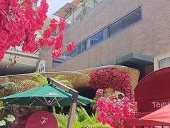 -Tegu泰古莲·泰国餐厅(红山6979店)