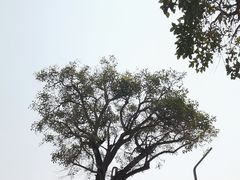 -深圳人才公园