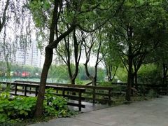 -新江湾城公园