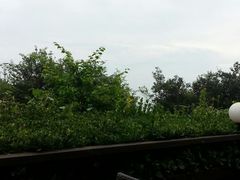android_upload_pic-向日葵咖啡