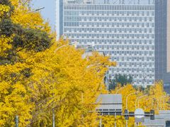 -重庆工商大学(南岸校区)