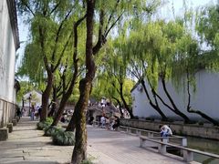 -鲁镇
