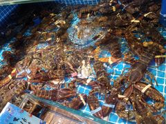 -良师门滨海人家·海鲜·家常菜(滨海城店)