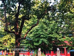 -北京石刻艺术博物馆(五塔寺)
