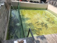 -钰田大院·碳烤虹鳟鱼·怀柔地道农家菜(雁栖湖店)