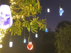 -祥源·阜阳生态乐园