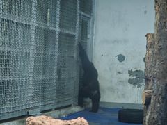 -合肥野生动物园