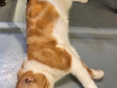 -臻鲜燕海鲜融合餐厅(金陵style店)