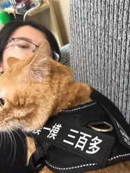 -SIX Hair Consultant