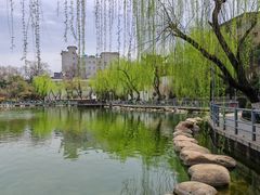 -莲湖公园