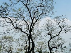 -北京鹫峰国家森林公园