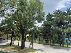-东海森林温泉度假酒店