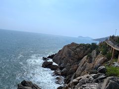 -广东惠东海龟国家级自然保护区