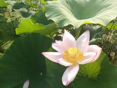 -韶山毛泽东同志故居