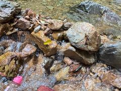 -牛鱼嘴原始生态风景区