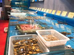 水产区-潮庭·大连海鲜·炭火烧烤·扇贝王(大连店)