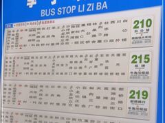 -李子坝梁山鸡(李子坝大鸡哥店)