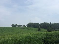 -南京市江宁方山