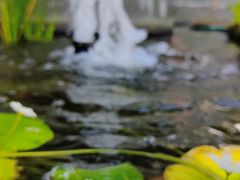 -广州神农草堂中医药博物馆