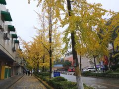 -四川大学(望江校区)