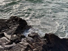 -小麦岛公园