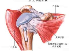 -裕和堂中医推拿艾灸(太古汇臻品店)