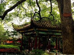 -南岳衡山风景名胜区-南岳大庙