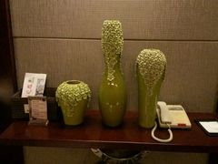 -常州环球恐龙城维景国际大酒店