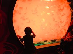 -沈阳海洋探索中心