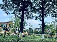 -黄海国家森林公园