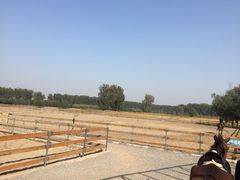 -月河湾马术俱乐部(朝阳店)