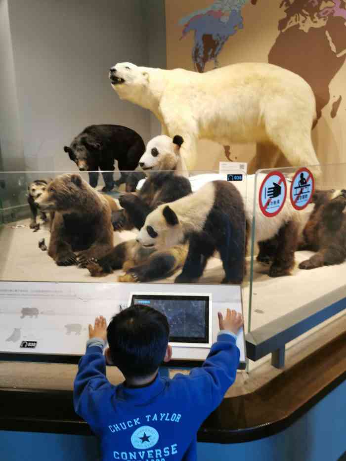 可以来看看网红狮子很多馆的门票在固定时间有人发的也就是限量的要