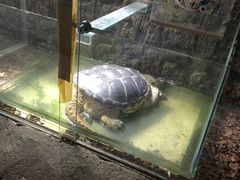 -哈尔滨北方森林动物园
