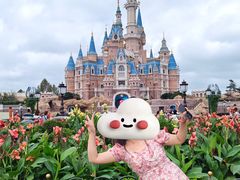 -上海迪士尼度假区