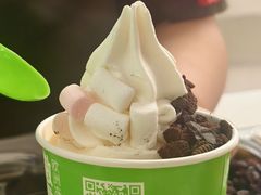 -Salud撒露欧洲冻酸奶(五道口购物中心店)