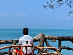 -放鸡岛生态旅游国际度假区