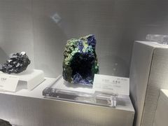 -湖南省地质博物馆