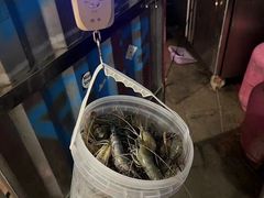 -DGE季风钓虾营地·团建·聚会