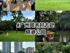 -晓港公园