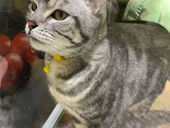 -有才叔的小馆(招商依云曲江店)