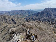 -大岭沟猕猴桃谷风景区
