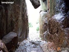 -鲁山国家森林公园