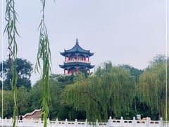 -莱西月湖公园