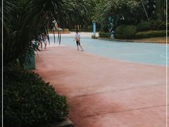 -美的鹭湖探索王国
