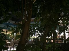 -豆舞咖啡(民乐路店)