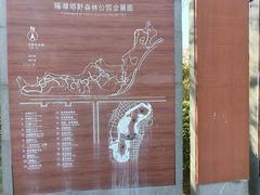 -瑶湖郊野森林公园