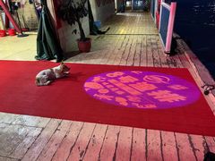 -罗源湾8号渔排